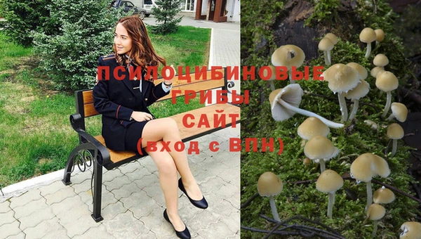 гидропоника Инта